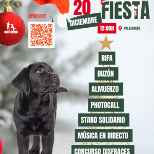 FIESTA DE NAVIDAD