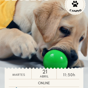 Taller online ESTRUCTURA DE JUEGO