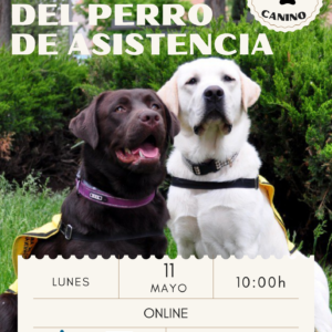 Taller online EL ESTRÉS Y BIENESTAR DEL PERRO DE ASISTENCIA
